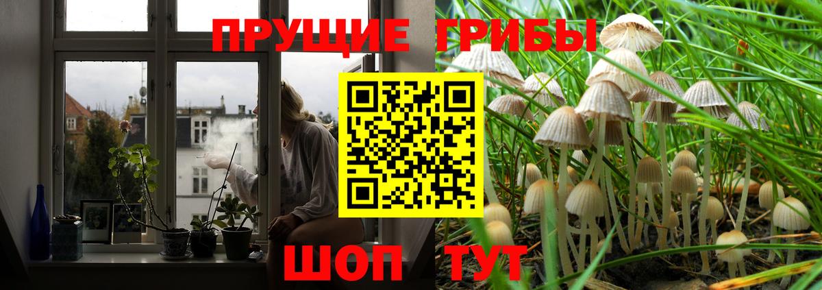 Псилоцибиновые грибы Cubensis  Вход с VPN  где купить   Узловая 